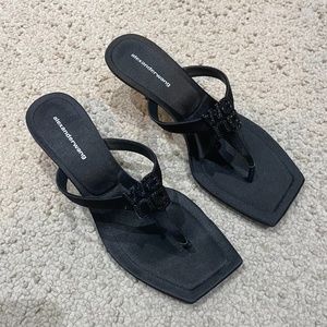 SOLD Alexander Wang Bianca Thong Sandals